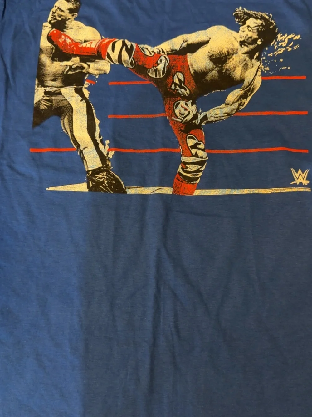 WWE Men's Graphic Crew Neck T-Shirt - Blue
